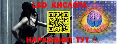 шишки Будённовск