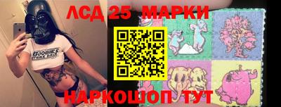 шишки Будённовск