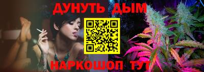 шишки Будённовск