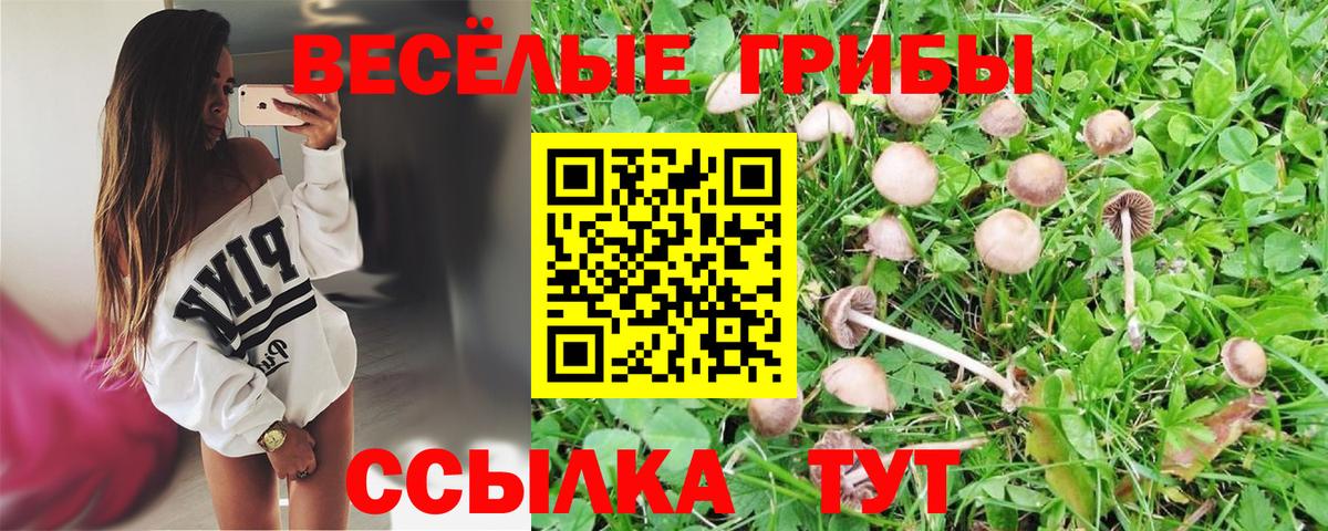 Псилоцибиновые грибы Magic Shrooms Ялуторовск
