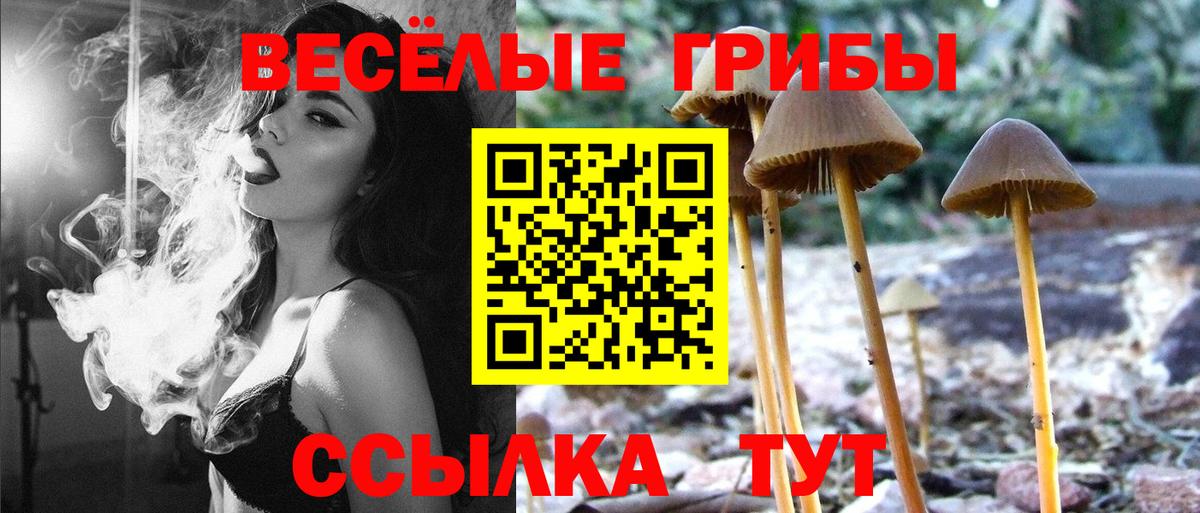 закладки  Вход с VPN  Псилоцибиновые грибы GOLDEN TEACHER  Ялуторовск  Псилоцибиновые грибы мицелий 